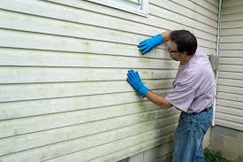 Professional Siding in Kouts, IN